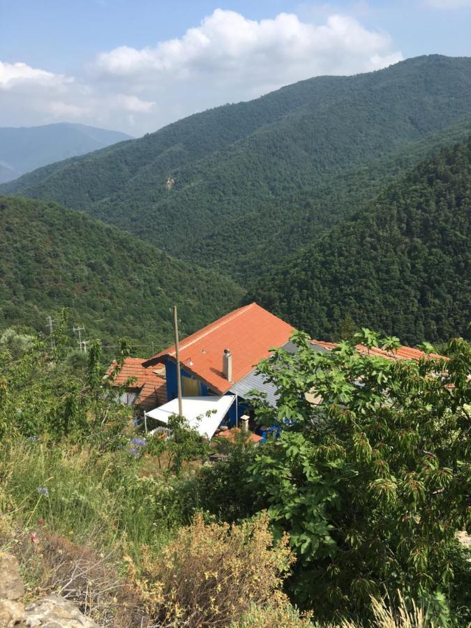 Rural House Villa Vignai Buitenkant foto